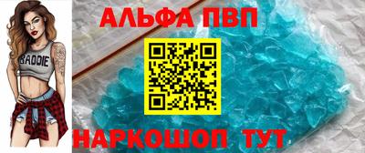 мет Кингисепп
