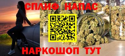 мет Кингисепп