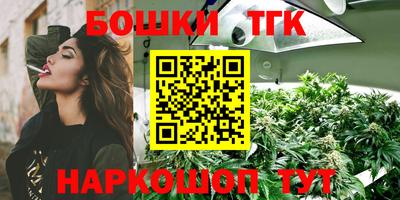 spice Кимры