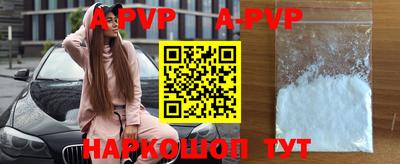 мет Кингисепп