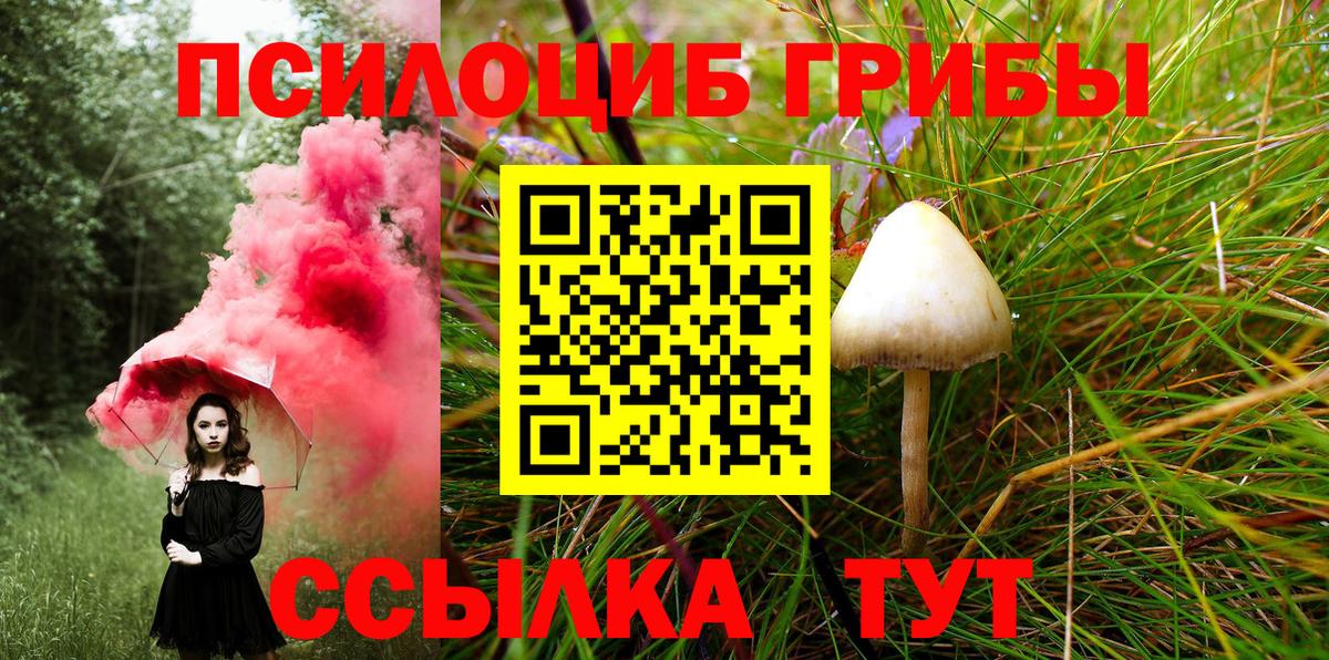 Галлюциногенные грибы мицелий Конаково