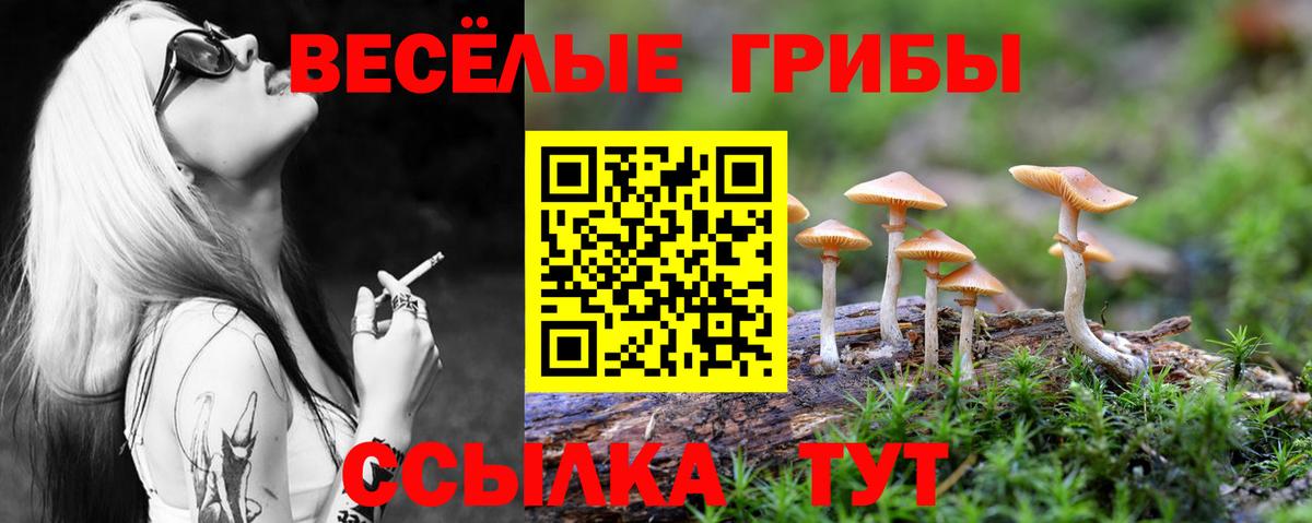 Галлюциногенные грибы ЛСД  Псилоцибиновые грибы Psilocybine cubensis  Конаково  Вход с VPN 